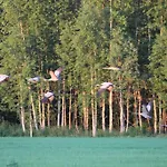 Kommee Kurki - Cozy With Sauna Sastamala