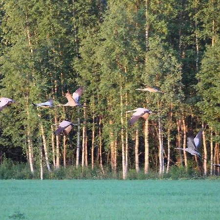 Kommee Kurki Sastamala
